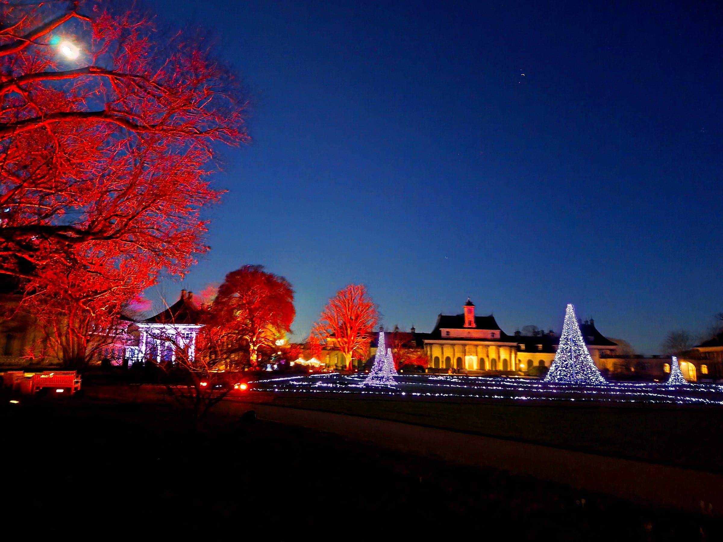 Floodlit trees and light cones line the park in front of Schloss Pillnitz at blue hour during the Christmas Garden.