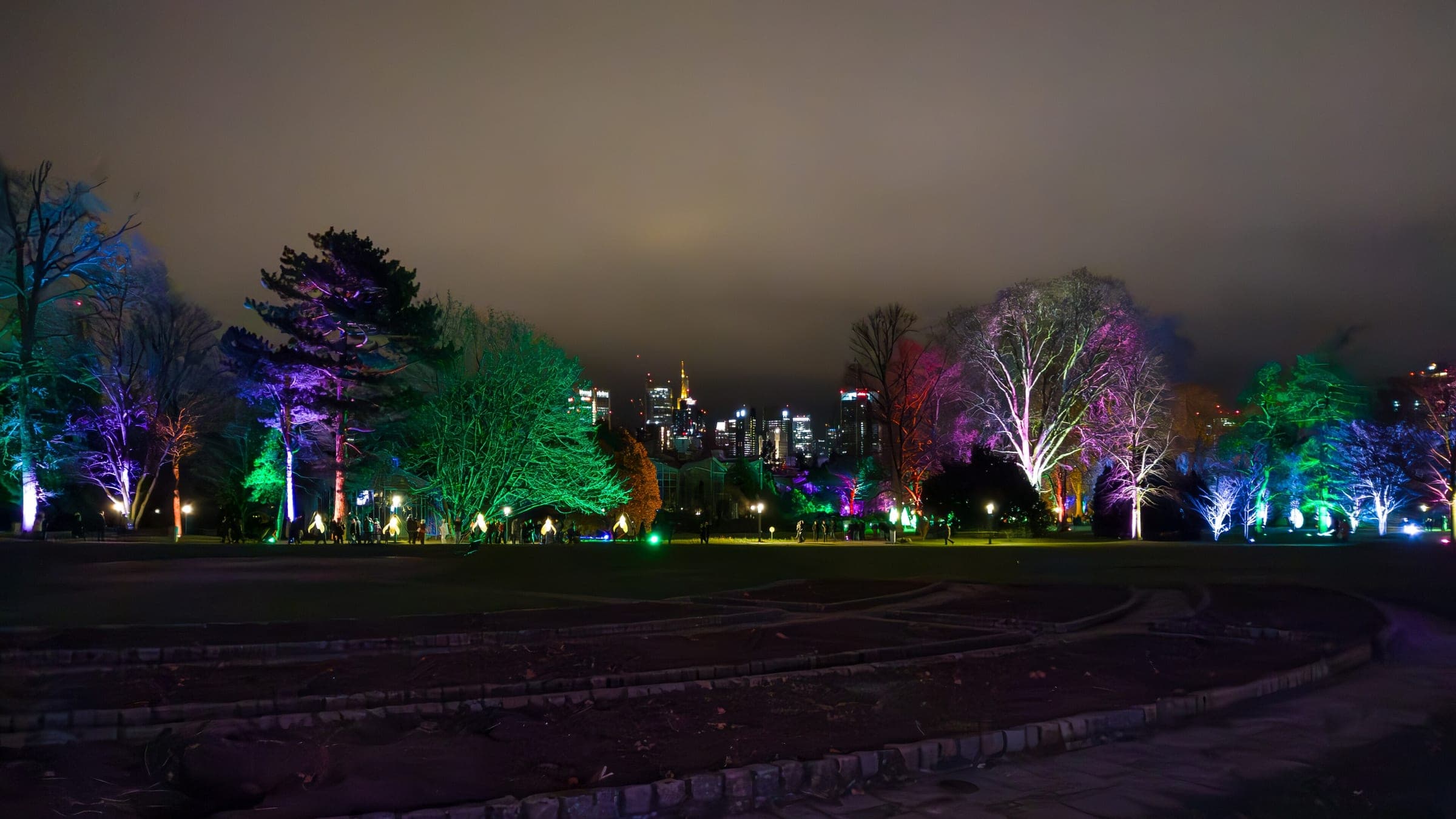 Trees lit in pink, blue and green ring a lawn of the Palmengarten in Frankfurt under the night sky.