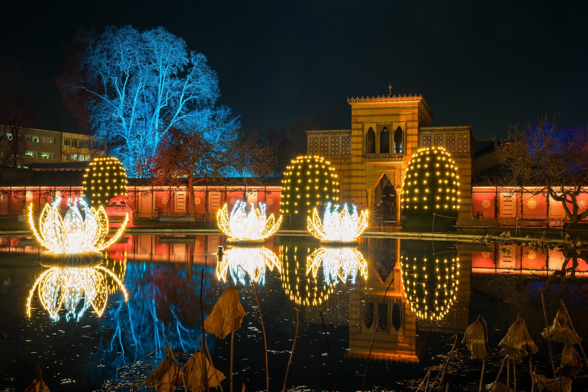 Lit trees and glowing lotus lights shine on the pond before the Moorish villa at the Wilhelma in Stuttgart.