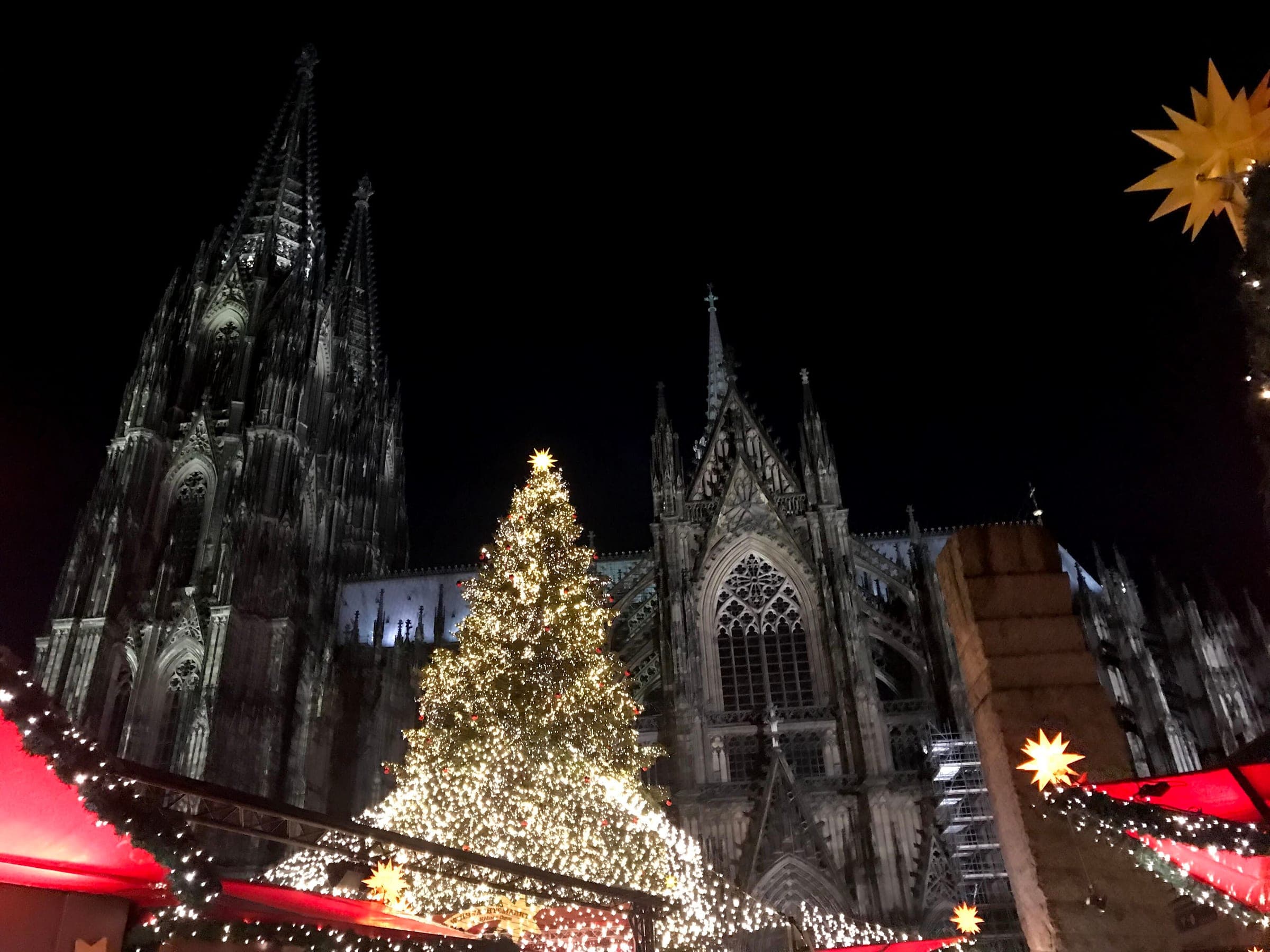 A lit Christmas tree stands in front of Cologne Cathedral above the market stalls at night