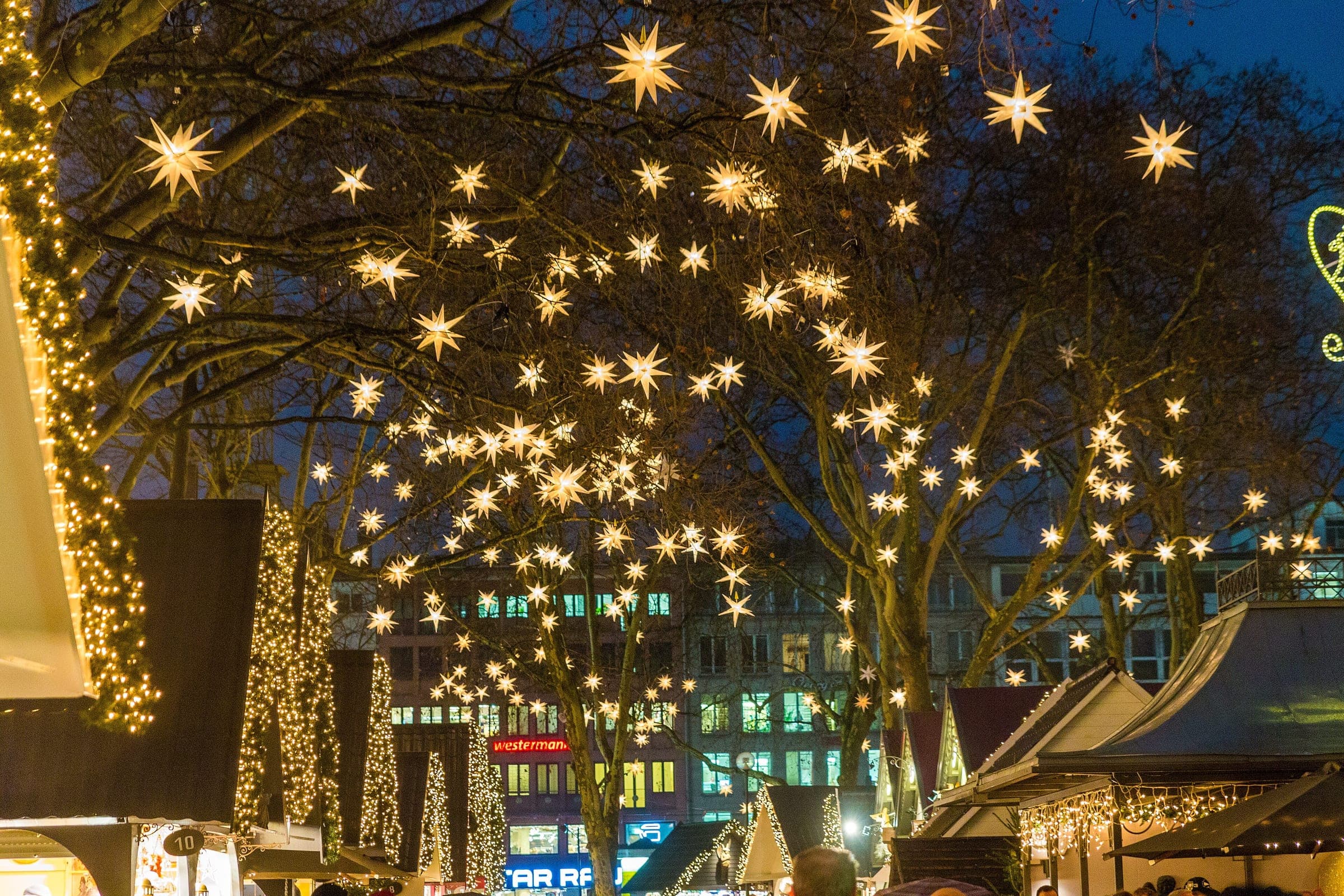 Hundreds of white stars hang in the plane trees over the Markt der Engel on Cologne's Neumarkt