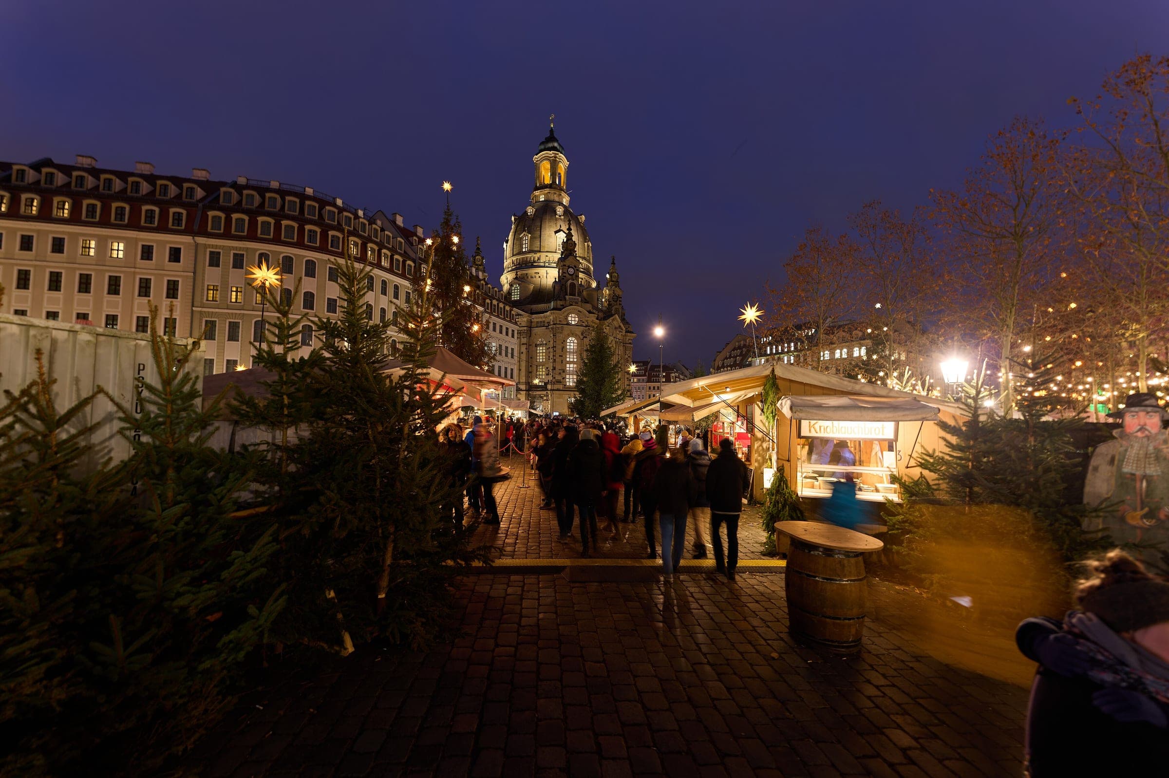 Visitors walk between fir trees and stalls toward the Frauenkirche at blue hour on Dresden's Neumarkt.