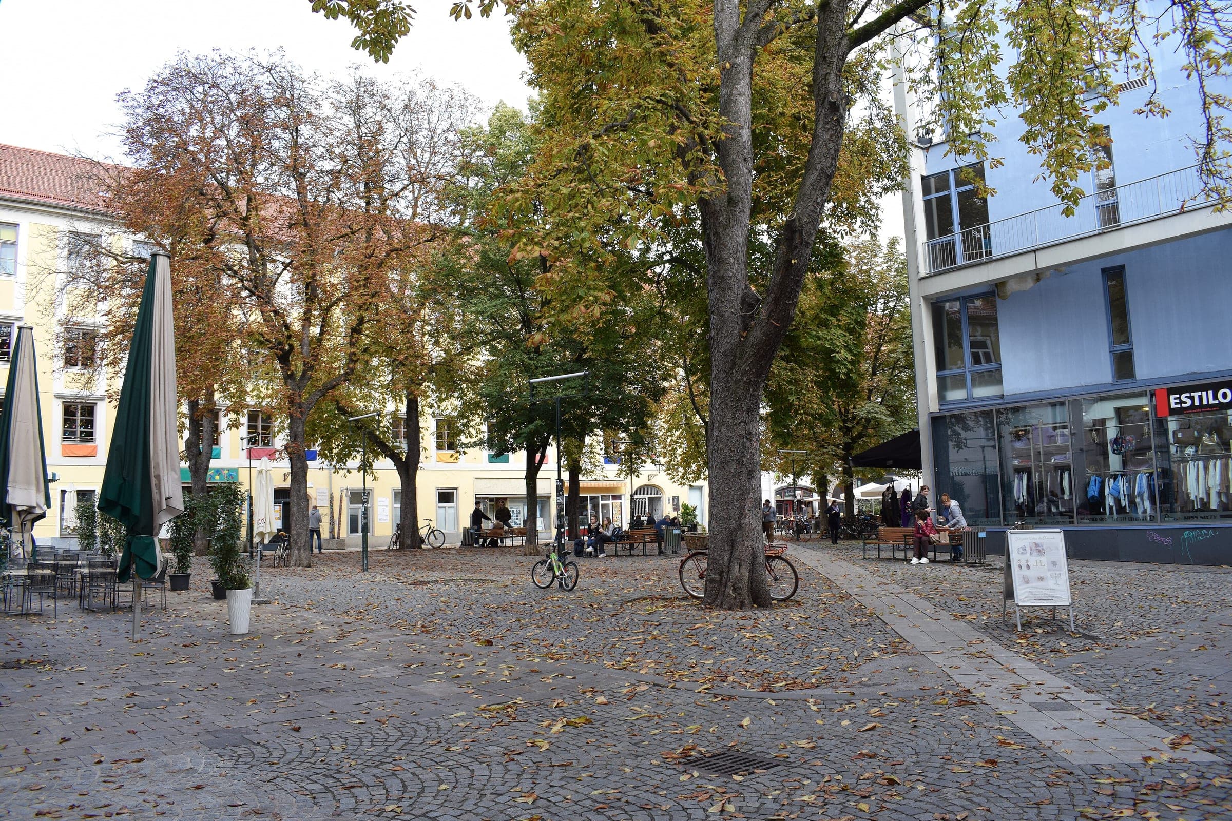 Chestnut trees shade the cobbled Färberplatz in Graz as their leaves turn in early autumn.