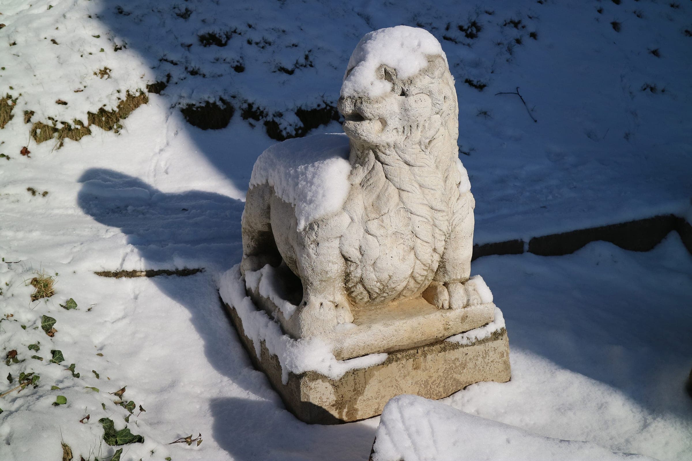 Fresh snow caps a stone lion on the Schlossberg in Graz on a bright January morning.