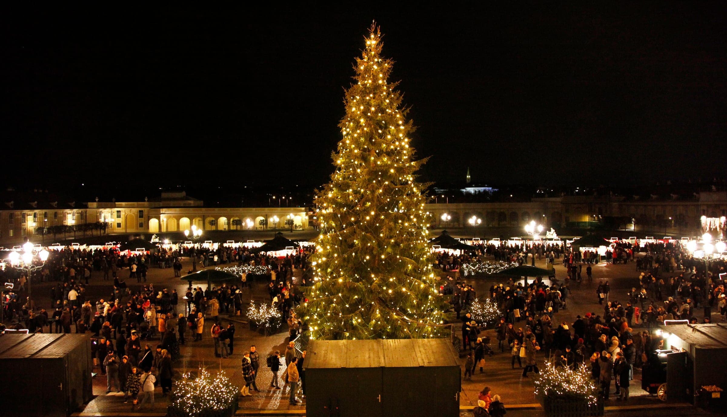 The Schonbrunn Christmas market spreads across the palace forecourt in Vienna around its tall lit tree at night.