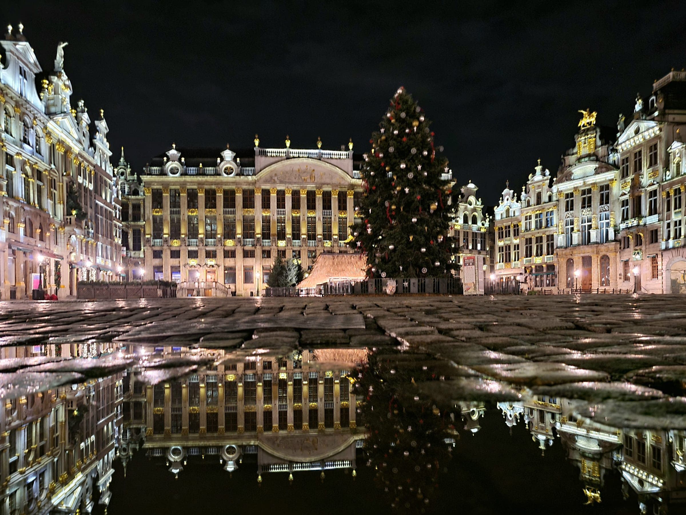 Wet cobbles on the Grand-Place in Brussels mirror its Christmas tree and the House of the Dukes of Brabant at night.