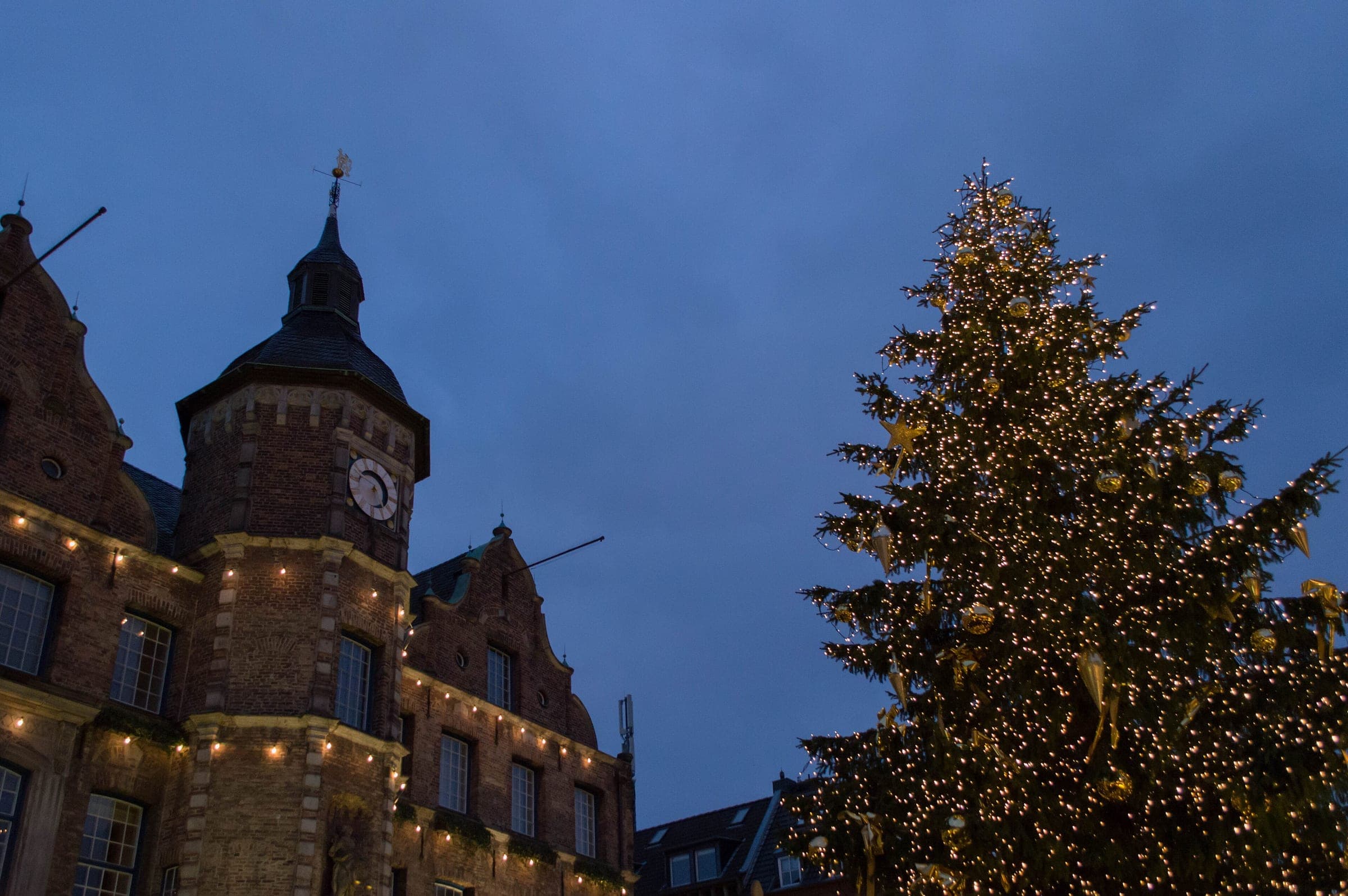 Düsseldorf's old town hall and its lit Christmas tree stand under a deep blue evening sky