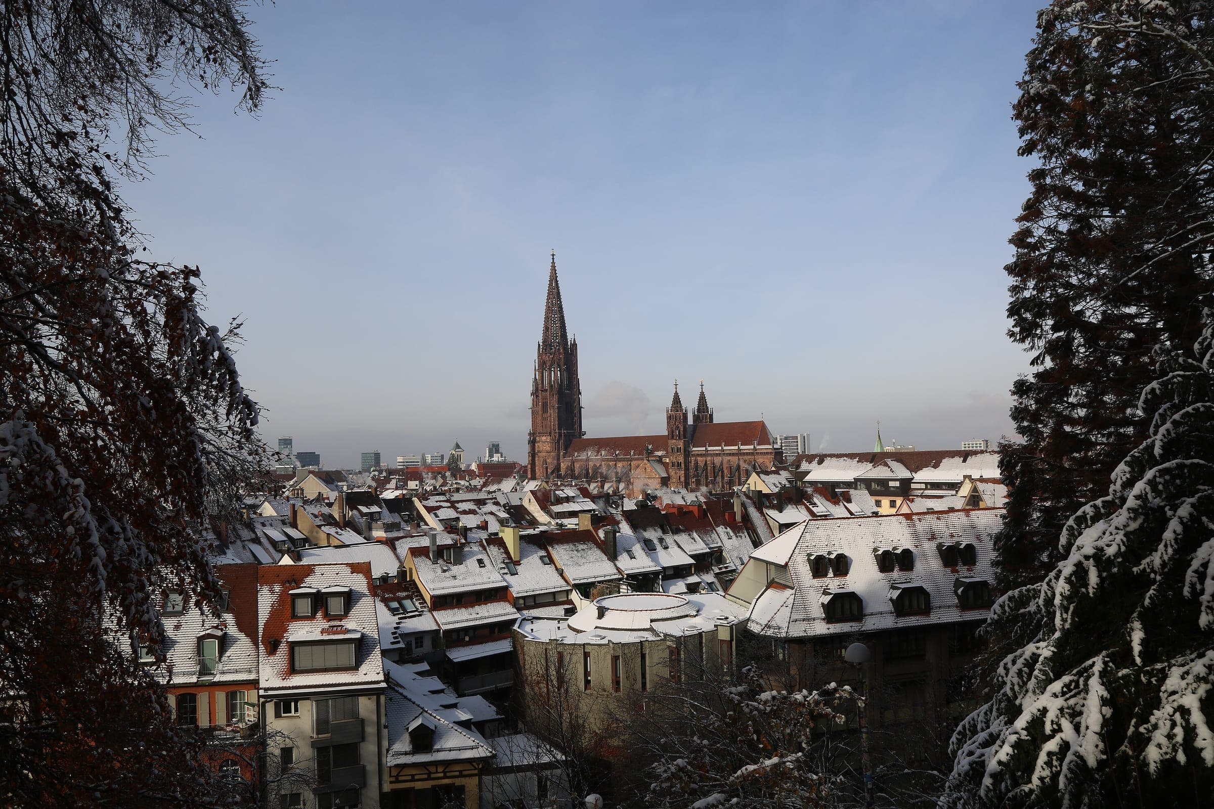 Snow covers the roofs of Freiburg's old town between dark firs as the Minster spire catches the evening light.