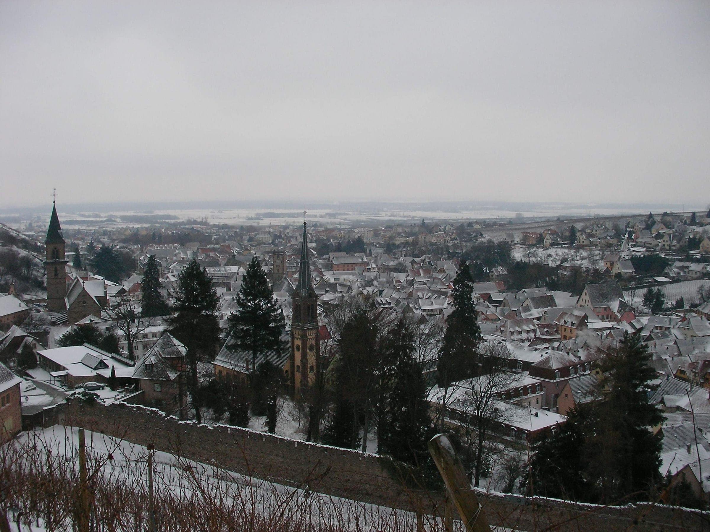 Snow covers the roofs and church spires of Ribeauvillé seen from the slope above the town.