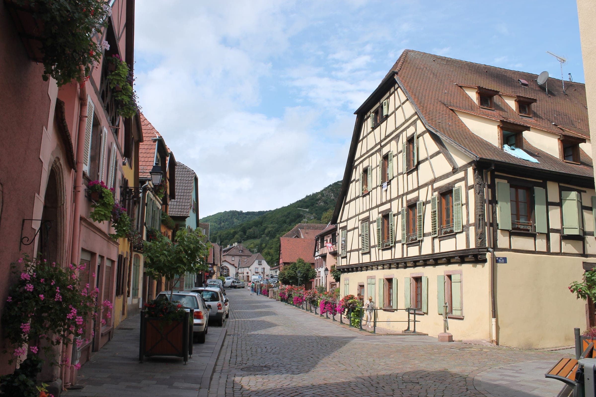 A half-timbered house stands on a cobbled street in Ribeauvillé below the wooded slopes of the Vosges.